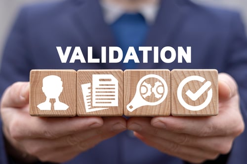 FDA Validation Services