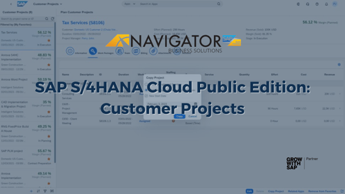 SAP S/4HANA Cloud Public Edition - Customer Projects