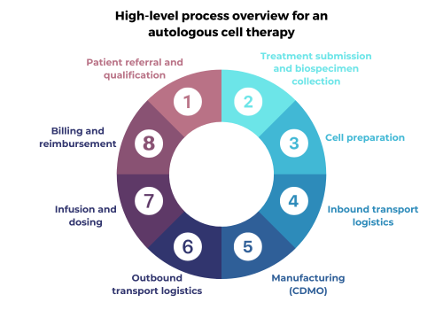 High-level process overview for an autologous cell therapy