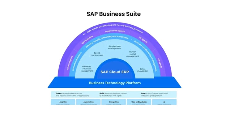SAP Business Suite, SAP Cloud ERP
