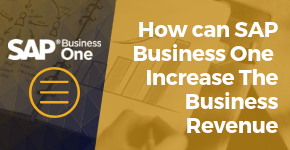 How can SAP Business One Increase The Business Revenue