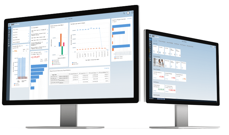 SAP ByDesign pre-built ERP solution packages for Distribution Companies