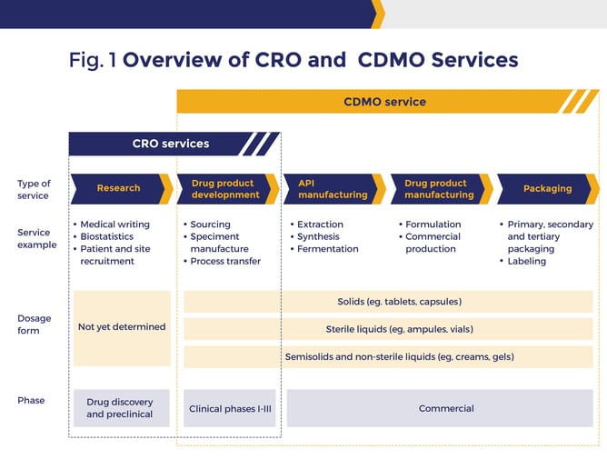 Overview of CRO and CDMO Services 102909