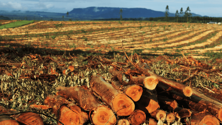 SAP Cloud ERP for Raw materials manufacters.