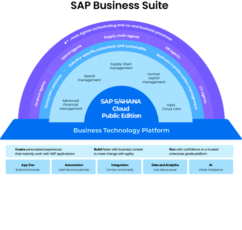 SAP Business Suite Graphic 