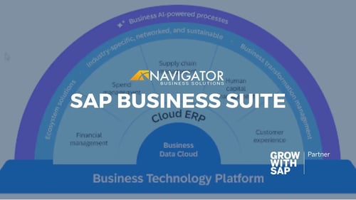 SAP Business Suite