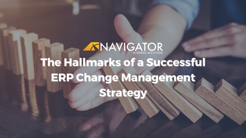 The Hallmarks of a Successful ERP Change Management Strategy