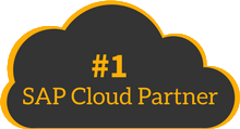 #1 cloud partner of the year